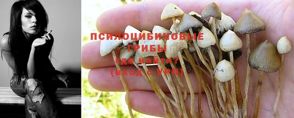 МДПВ Абинск