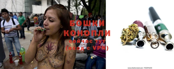 крисы Снежногорск