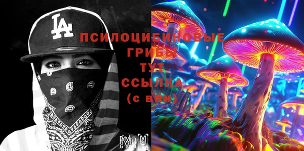 МДПВ Абинск