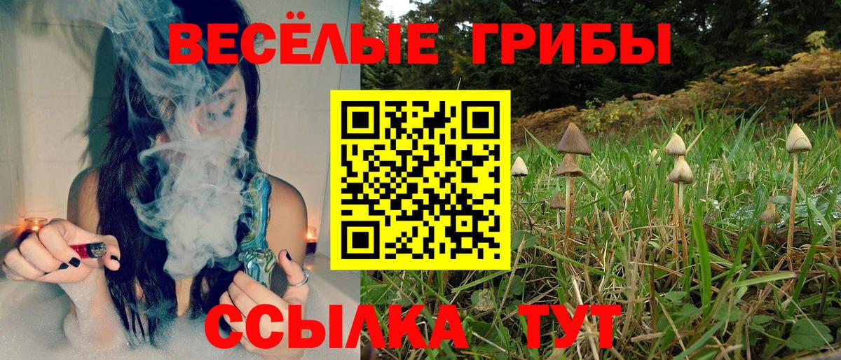 Ханты-Мансийск  Псилоцибиновые грибы Psilocybe  Псилоцибиновые грибы мицелий  Вход с VPN 